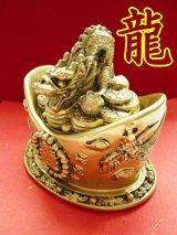 叶えたい願いを入れて！龍（ドラゴン）元寶