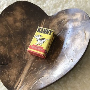 画像1: 【限定】エケコ（エケッコー）人形用小物　ミニチュア　「KANNY」