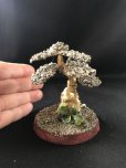 画像8: 金運と癒し・パワー上昇の樹　