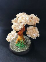 富を！財を！黄金の樹★シトリン