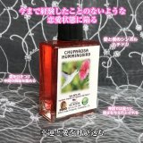 あなたの人生に愛を惹きつけ、あなたに向けられる恋を生みだすオイル　hummingbird