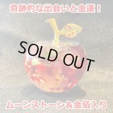 奇跡的な出会いと金運！ 天然石＆金箔入り  ハーバリウム赤林檎