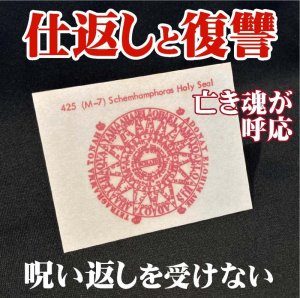 画像1: 復讐と仕返しの魔術カード SchemhamphorasHoly