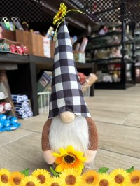 お金のありかを教えてくれる！宝物の守護者 伝説の妖精gnome（ノーム）チェッカー