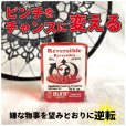 画像1: 嫌な事を良い方向へ望みどおりに逆転させるオイル　reversible／リバーシブル (1)