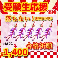 【お得!5ヶSet】合格祈願！落ちない！唐辛子ストラップ紫