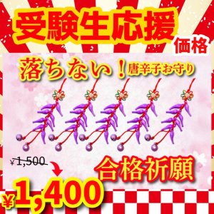 画像1: 【お得!5ヶSet】合格祈願！落ちない！唐辛子ストラップ紫