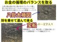 画像6: "どんどんお金が集まる" 牛本革 龍凰 風水貯金財布（金）