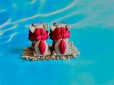 画像4: 沖縄伝統の守り神 魔除けのシンボルシーサー ペア置物 小　ベージュ
