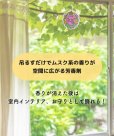 画像2: お守りエアーフレッシュナー ココペリ 〜聖地セドナの香り〜