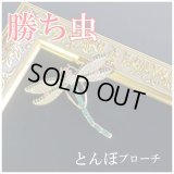 勝ち虫 とんぼブローチ