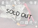 最強の魔除けと強運を引き寄せる！四線虎牙天珠 大玉ブレスレット朱