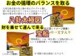 画像3: "金運祈願の代表色・黄" 龍凰 風水貯金財布（黄） (3)