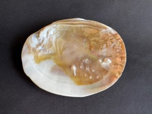 画像: 浄化！パワーアイテム☆シェルパール / セージやお香用　Mサイズa