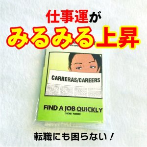 画像: 仕事運急上昇！能力が上がり転職もスムーズに！魔術パウダー ジョブ