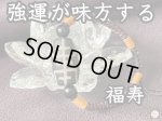 画像: 様々な幸運に恵まれ強運が味方する！福寿天珠 大玉ブレスレット