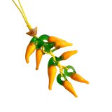 画像: 【金欠の方へ】減ってよ出費！！『財運を引き寄せる元寶付き』唐辛子ストラップ☆オレンジ