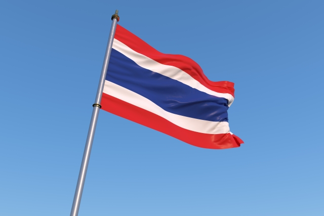 画像3: タイ国旗を現す  三頭の象　 勇気と誇り　タイ・シルクアート (3)